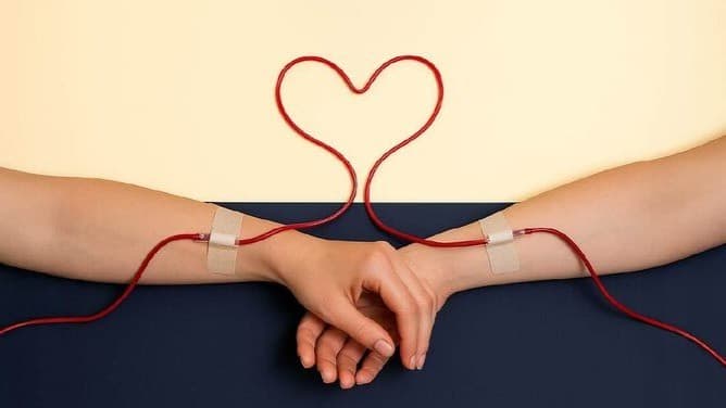 Blood donation in progress – arm with IV line and blood bag