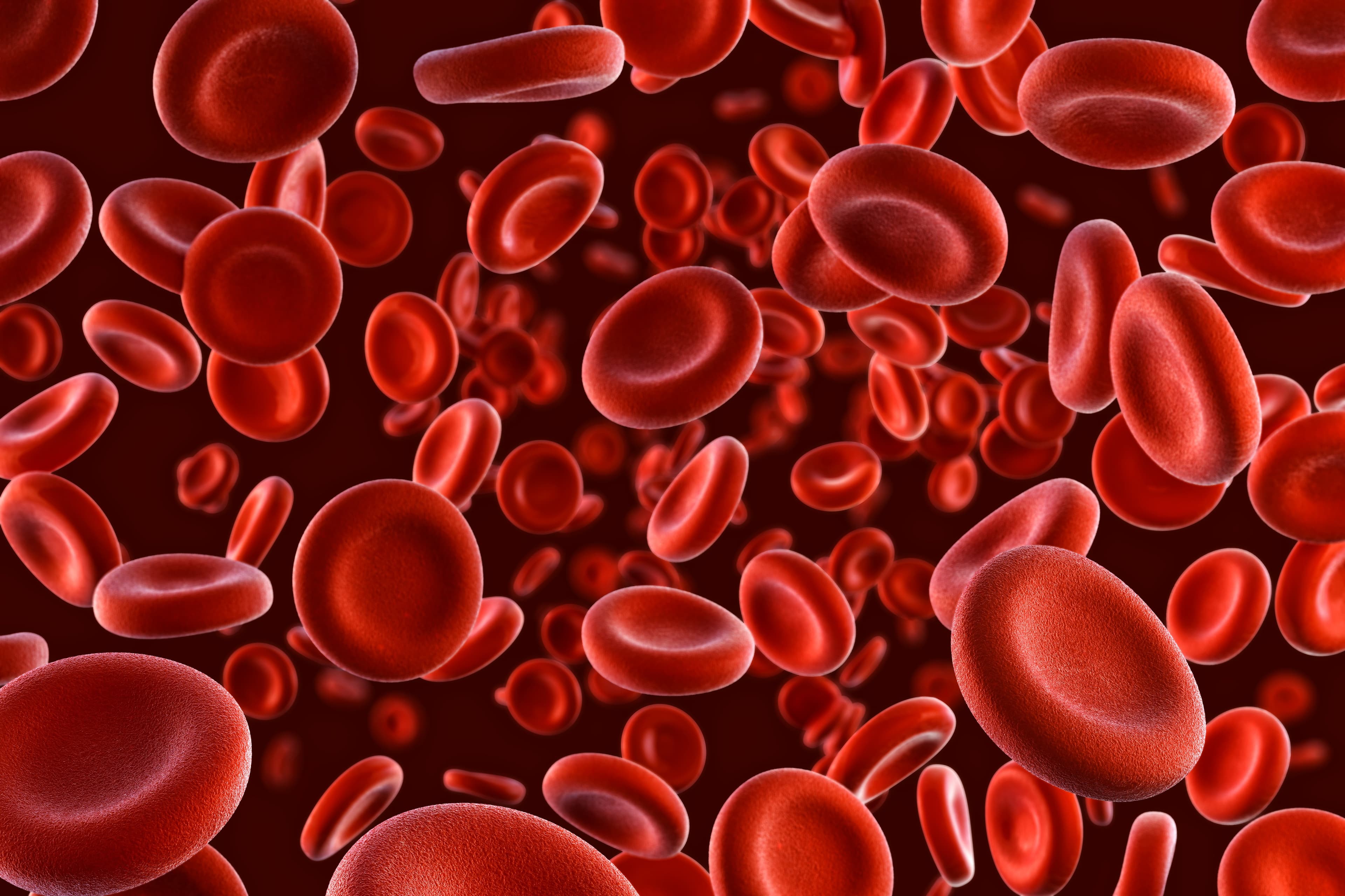 Blood bag – Save Lives Daily